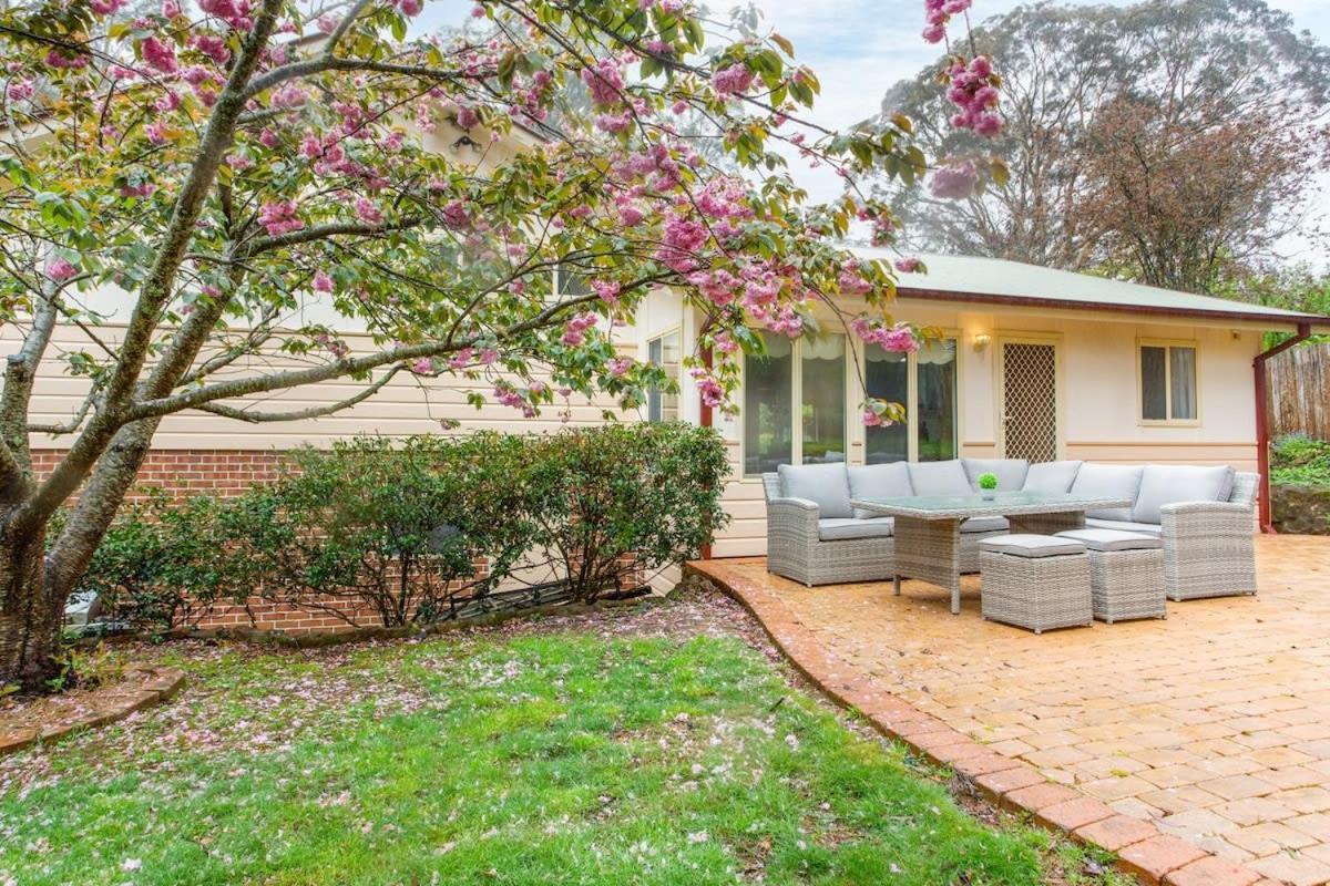 Stunning Katoomba Home With Lush Garden&Playground Екстериор снимка